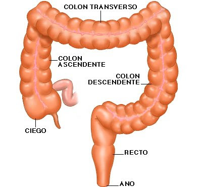 La clínica de la medicina moderna flebologiya